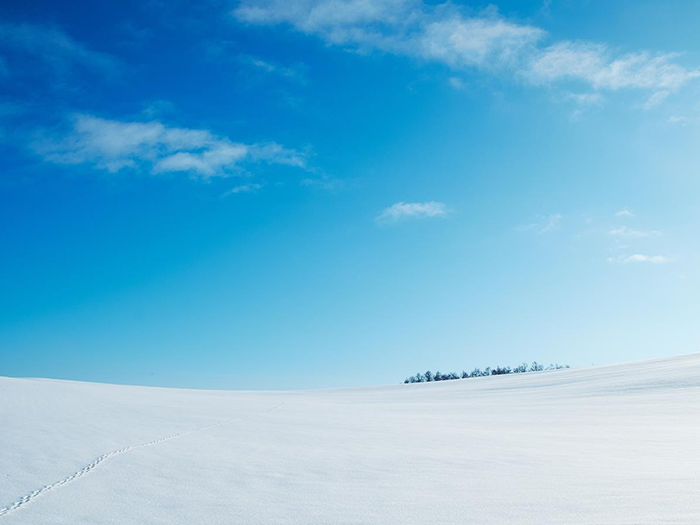 真っ白な雪と青空